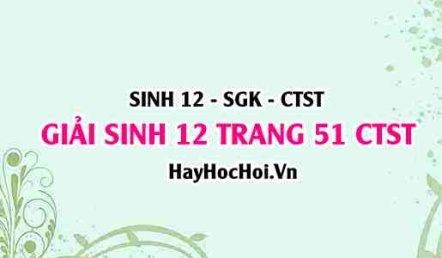 Giải Sinh 12 trang 51 Chân trời sáng tạo SGK